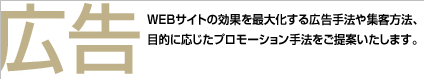 広告 WEBサイトの効果を最大化する広告手法や集客方法、目的に応じたプロモーション手法をご提案いたします。